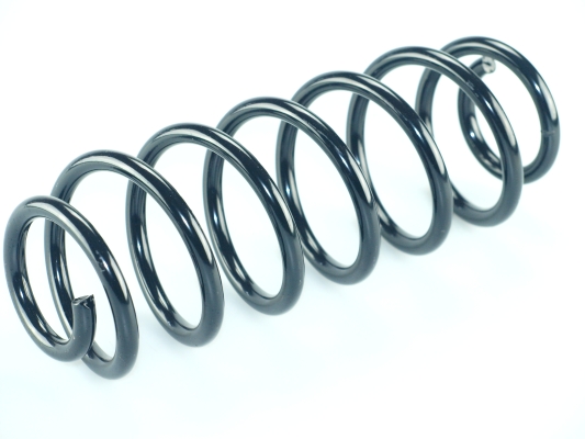 CS Germany 14.504.054 Fahrwerksfeder Hinterachse für FORD