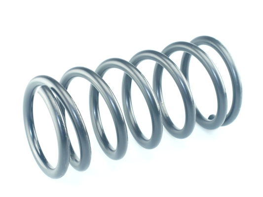 CS Germany 14.504.078 Fahrwerksfeder Hinterachse für FORD