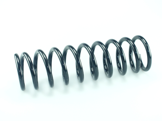 CS Germany 14.504.154 Fahrwerksfeder Hinterachse für FORD