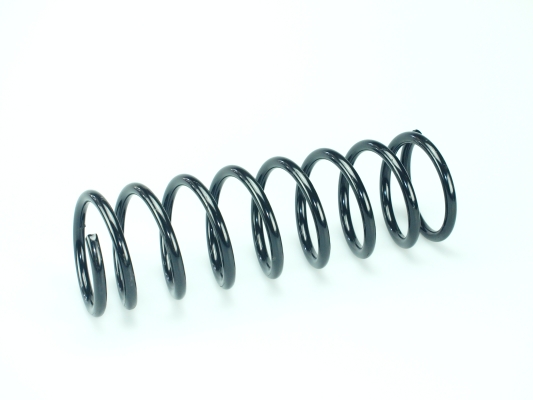 CS Germany 14.504.159 Fahrwerksfeder Hinterachse für FORD