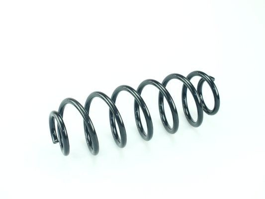 CS Germany 14.504.175 Fahrwerksfeder Hinterachse für FORD