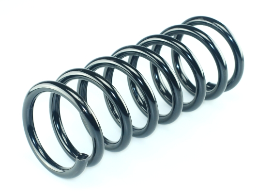 CS Germany 14.504.179 Fahrwerksfeder Hinterachse für FORD