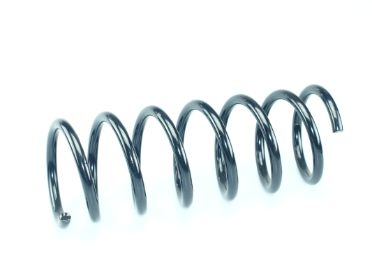 CS Germany 14.504.218 Fahrwerksfeder Hinterachse für FORD