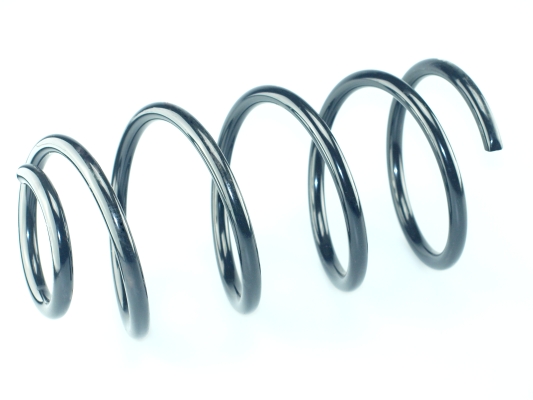 CS Germany 14.504.225 Fahrwerksfeder Vorderachse für FORD