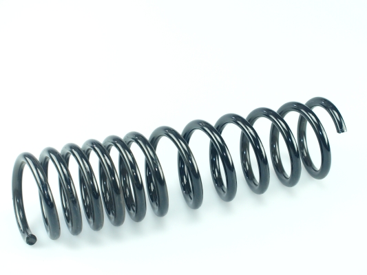 CS Germany 14.504.232 Fahrwerksfeder Hinterachse für FORD