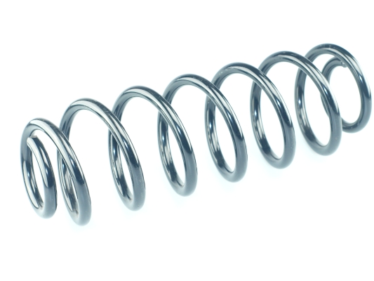 CS Germany 14.504.234 Fahrwerksfeder Hinterachse für FORD