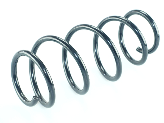 CS Germany 14.504.244 Fahrwerksfeder Vorderachse für FORD