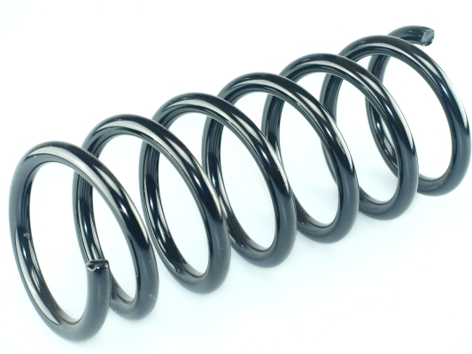 CS Germany 14.504.255 Fahrwerksfeder Hinterachse für FORD