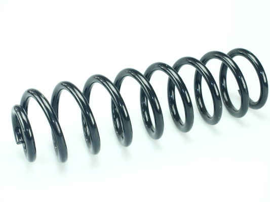 CS Germany 14.504.259 Fahrwerksfeder Hinterachse für FORD