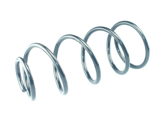 CS Germany 14.504.267 Fahrwerksfeder Vorderachse für FORD