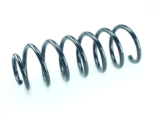 CS Germany 14.504.272 Fahrwerksfeder Hinterachse für FORD