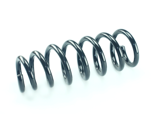 CS Germany 14.605.002 Fahrwerksfeder Vorderachse für HONDA