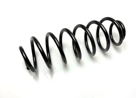 CS Germany 14.605.019 Fahrwerksfeder Hinterachse für HONDA