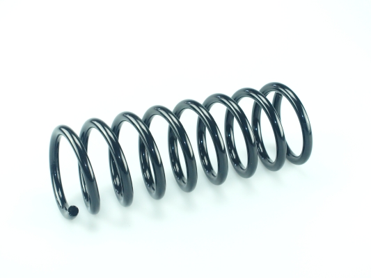 CS Germany 14.620.031 Fahrwerksfeder Hinterachse für MITSUBISHI