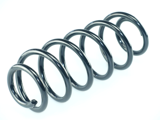 CS Germany 14.632.012 Fahrwerksfeder Hinterachse für SUZUKI