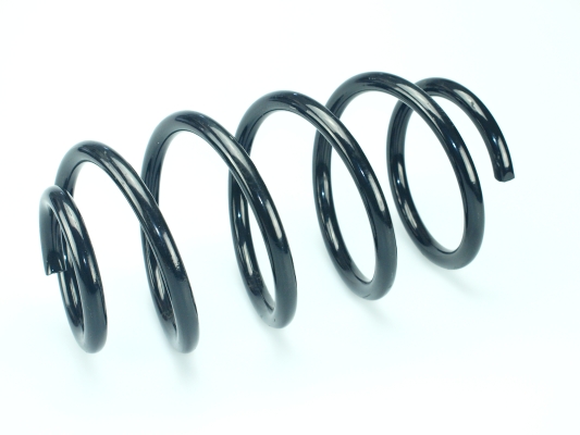 CS Germany 14.636.019 Fahrwerksfeder Hinterachse für NISSAN