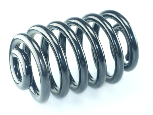 CS Germany 14.774.216 Fahrwerksfeder Hinterachse für OPEL VAUXHALL