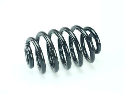 CS Germany 14.774.339 Fahrwerksfeder Hinterachse für OPEL VAUXHALL