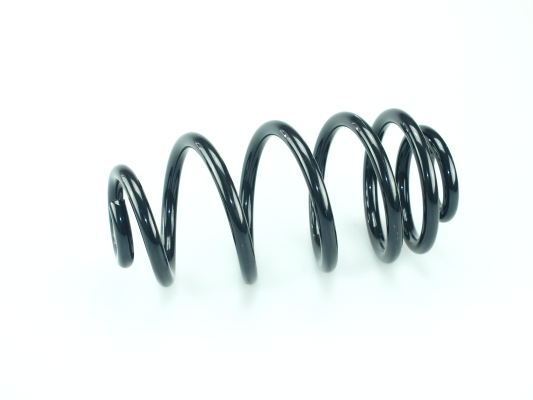 CS Germany 14.774.495 Fahrwerksfeder Hinterachse für OPEL SAAB VAUXHALL