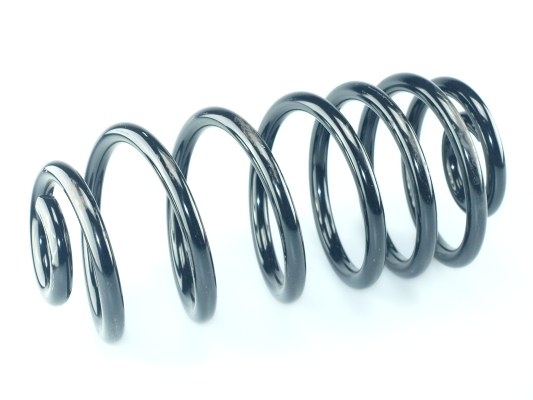 CS Germany 14.774.530 Fahrwerksfeder Hinterachse für CHEVROLET OPEL VAUXHALL