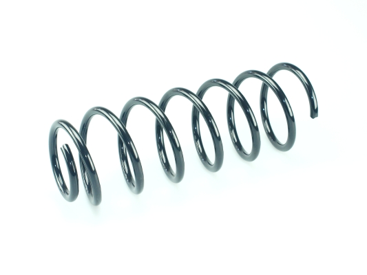 CS Germany 14.870.530 Fahrwerksfeder Hinterachse für CHEVROLET DAEWOO