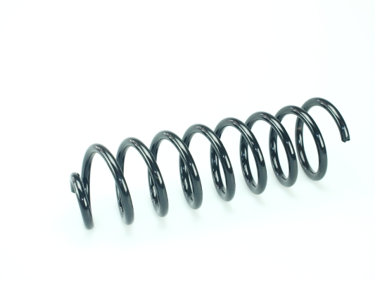 CS Germany 14.871.216 Fahrwerksfeder Hinterachse für DACIA RENAULT