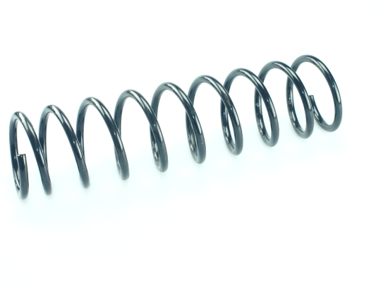 CS Germany 14.871.219 Fahrwerksfeder Hinterachse für RENAULT