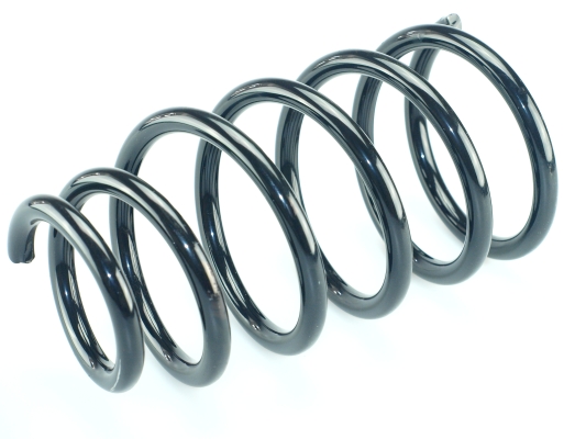 CS Germany 14.871.238 Fahrwerksfeder Hinterachse für RENAULT