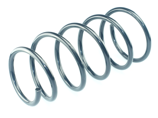 CS Germany 14.871.244 Fahrwerksfeder Vorderachse für RENAULT