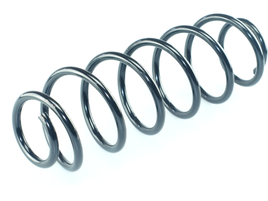 CS Germany 14.871.251 Fahrwerksfeder Hinterachse für RENAULT