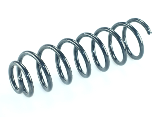 CS Germany 14.871.252 Fahrwerksfeder Hinterachse für RENAULT