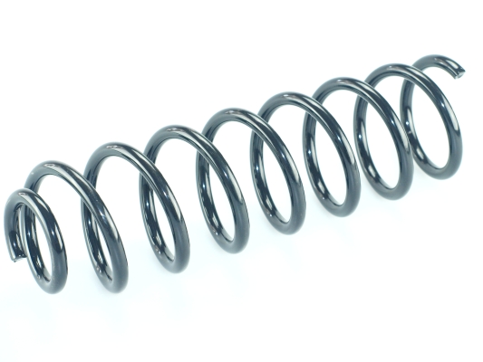 CS Germany 14.871.253 Fahrwerksfeder Hinterachse für RENAULT