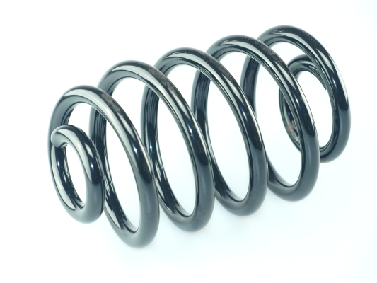 CS Germany 14.871.255 Fahrwerksfeder Hinterachse für RENAULT