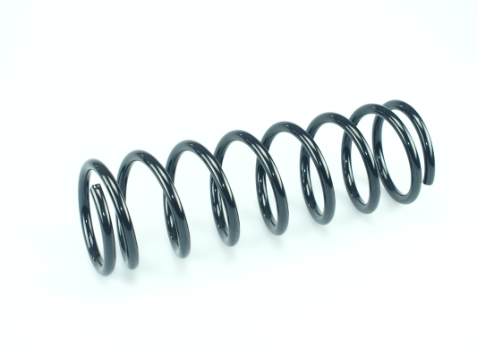 CS Germany 14.872.232 Fahrwerksfeder Hinterachse für NISSAN