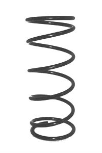 CS Germany 14.872.254 Fahrwerksfeder Hinterachse für NISSAN