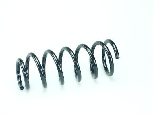 CS Germany 14.872.275 Fahrwerksfeder Hinterachse für NISSAN