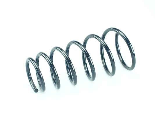 CS Germany 14.872.376 Fahrwerksfeder Hinterachse für TOYOTA