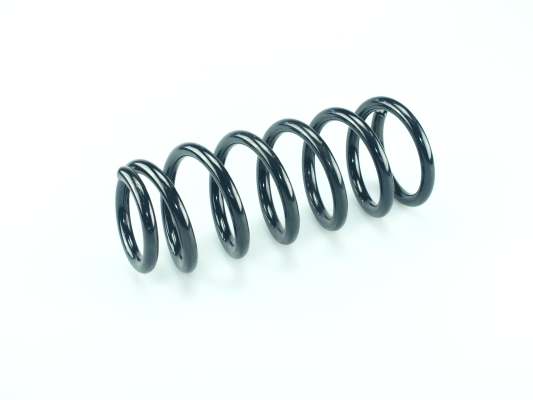 CS Germany 14.872.632 Fahrwerksfeder Hinterachse für HONDA