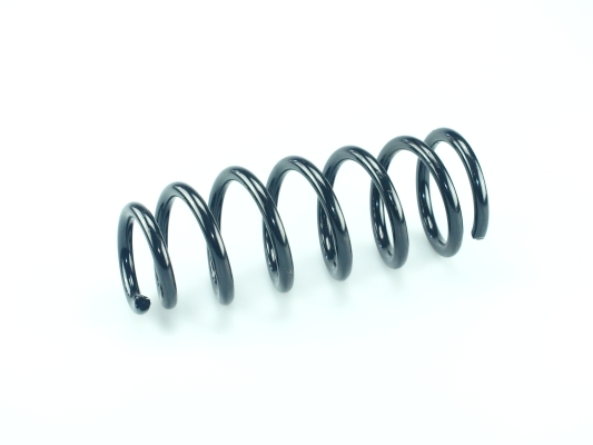 CS Germany 14.872.812 Fahrwerksfeder Hinterachse für TOYOTA