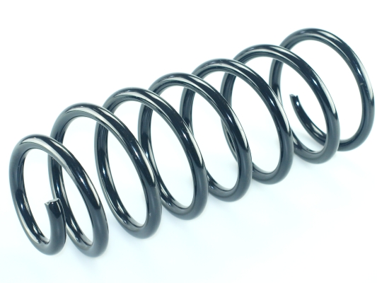 CS Germany 14.872.834 Fahrwerksfeder Hinterachse für TOYOTA