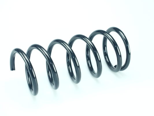 CS Germany 14.872.857 Fahrwerksfeder Hinterachse für TOYOTA