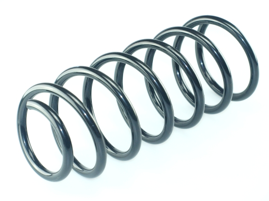 CS Germany 14.872.858 Fahrwerksfeder Hinterachse für TOYOTA