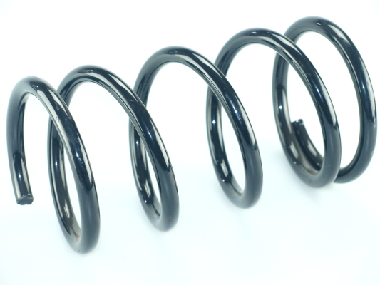 CS Germany 14.872.875 Fahrwerksfeder Hinterachse für TOYOTA