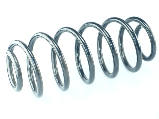 CS Germany 14.872.878 Fahrwerksfeder Hinterachse für TOYOTA