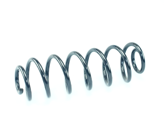 CS Germany 14.875.133 Fahrwerksfeder Hinterachse für SKODA