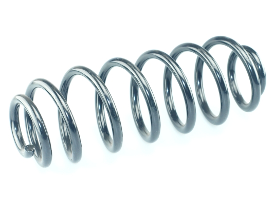 CS Germany 14.875.134 Fahrwerksfeder Hinterachse für SKODA VW