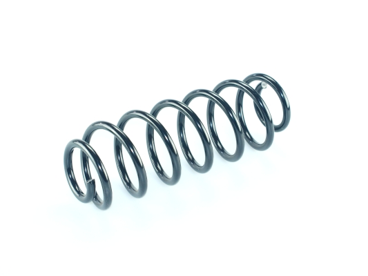 CS Germany 14.875.135 Fahrwerksfeder Hinterachse für AUDI SEAT SKODA