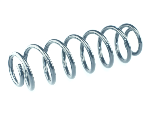 CS Germany 14.875.217 Fahrwerksfeder Hinterachse für SKODA