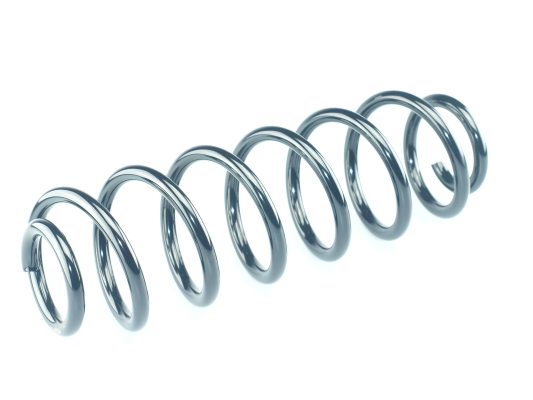 CS Germany 14.875.218 Fahrwerksfeder Hinterachse für SKODA VW