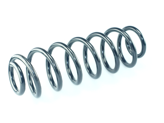 CS Germany 14.875.239 Fahrwerksfeder Hinterachse für SKODA